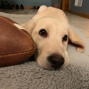 Meet your Posher, Brian